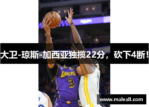 大卫-琼斯-加西亚独揽22分，砍下4断！